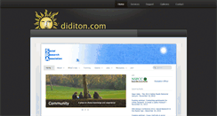 Desktop Screenshot of diditon.com